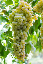 Similar image 3031589