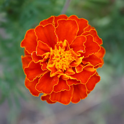 Similar image 3032437