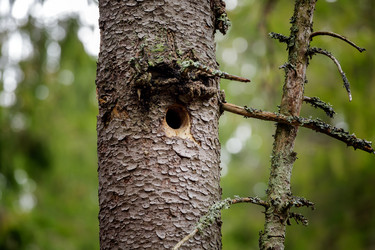 Similar image 3038258