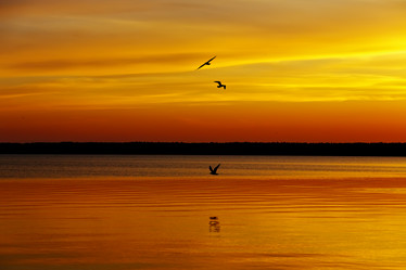 Similar image 3039421