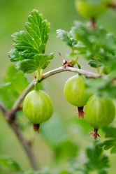 Similar image 3039536