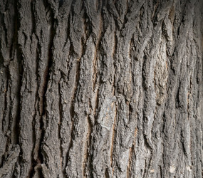 Similar image 3051700