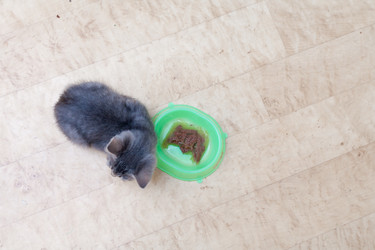 Similar image 3052585