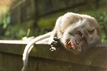 Similar image 3052664