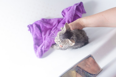 Similar image 3052687