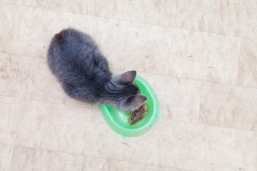 Similar image 3052811