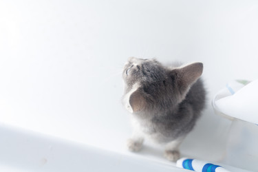 Similar image 3052812