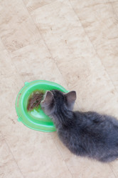 Similar image 3052845