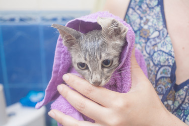 Similar image 3052883