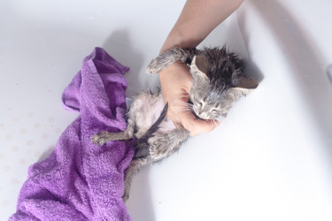 Similar image 3053811