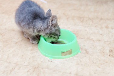 Similar image 3053870