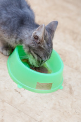 Similar image 3053891