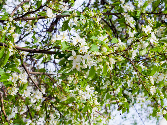 Similar image 3054873