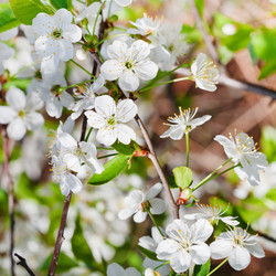 Similar image 3055083