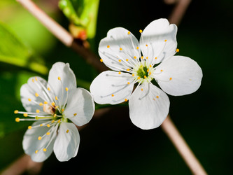 Similar image 3055174