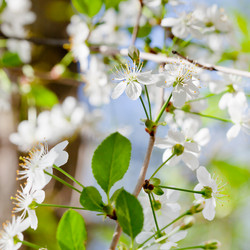 Similar image 3055181