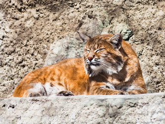 Similar image 3058285