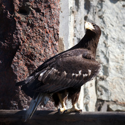 Similar image 3058301