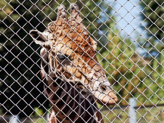 Similar image 3058315