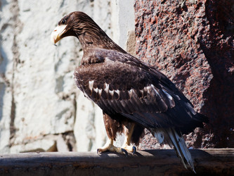 Similar image 3058319