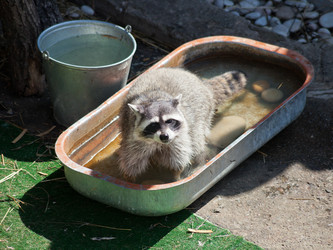 Similar image 3058359