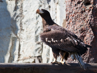 Similar image 3058380