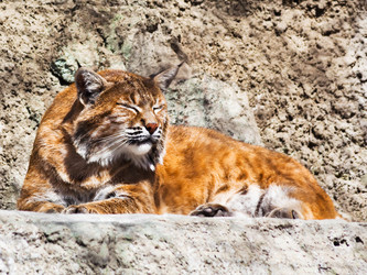 Similar image 3058435