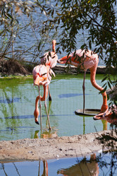 Similar image 3058470