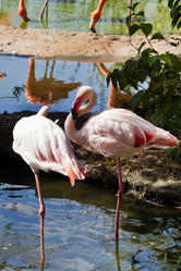 Similar image 3058481