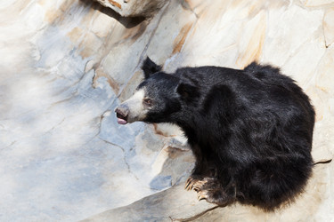 Similar image 3059514