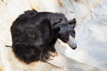 Similar image 3059522