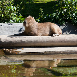 Similar image 3059532