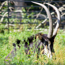 Similar image 3059558