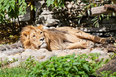 Similar image 3059580