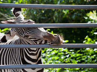 Similar image 3059581