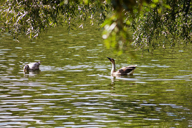 Similar image 3059589