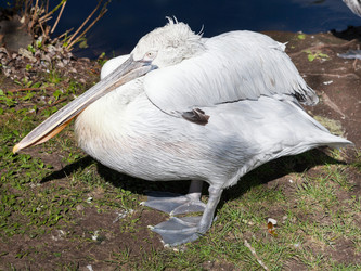 Similar image 3059620