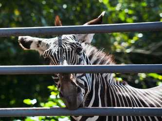 Similar image 3059629