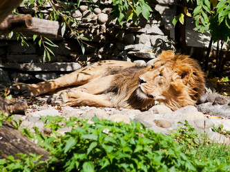 Similar image 3059631