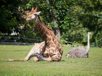 Similar image 3060563