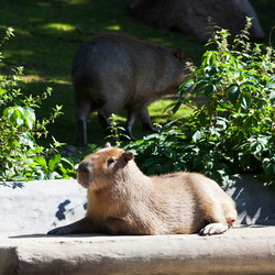 Similar image 3060585