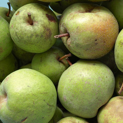 Similar image 3060686