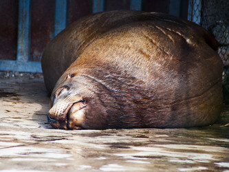 Similar image 3061212