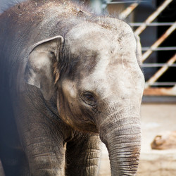 Similar image 3061230