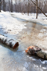 Similar image 3061342