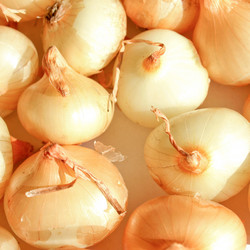 Similar image 3065299