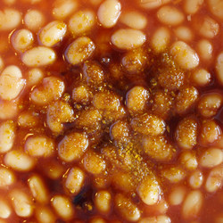 Similar image 3065339