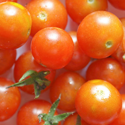 Similar image 3065346