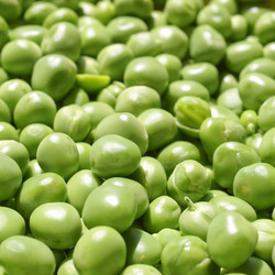 Similar image 3067787