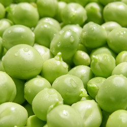 Similar image 3067919